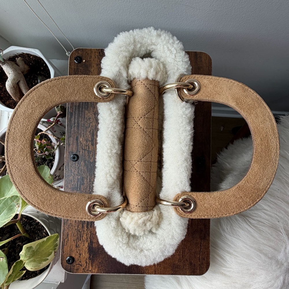 Christian Dior Lady Dior Mini Shearling Cannage Suede Bag Ecru w/ Gold Hardware - Picture 9 of 16